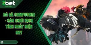 Đá Gà Campuchia - Sân Chơi Kịch Tính Nhất Hiện Nay