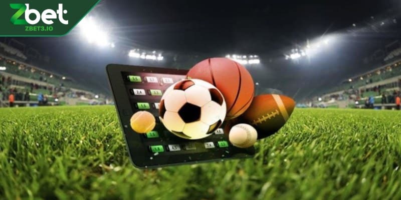 Top 4 bộ môn thể thao hấp dẫn tại ZBET